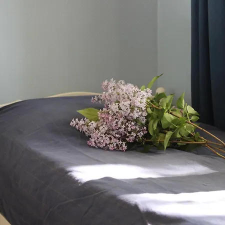 Riihon Majatalo بيت ريفي *