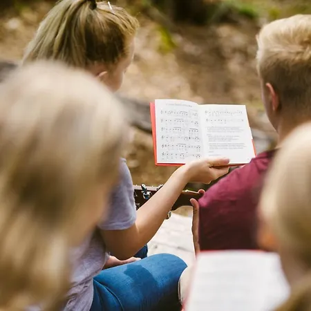 イン Riihon Majatalo *