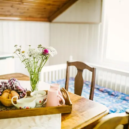 بيت ريفي Riihon Majatalo Riiho