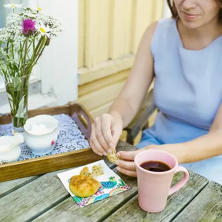 بيت ريفي Riihon Majatalo