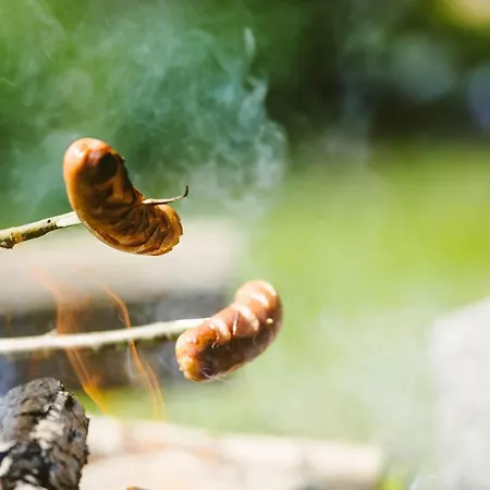 Riihon Majatalo بيت ريفي Riiho