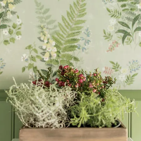 Riihon Majatalo بيت ريفي Riiho