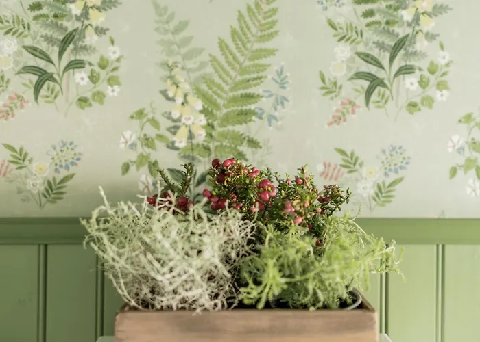 Riihon Majatalo Fogadó Riiho